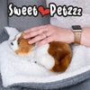 Sweet Petzzz: Realistic Dog & Cat Plush Dolls | Multiple Styles