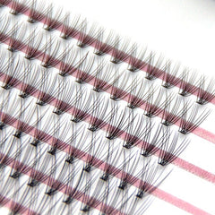 WOW Lash Clusterz Kit | 288 Eyelash Clusters | Includes Glue & Tweezers! Simple Showcase 